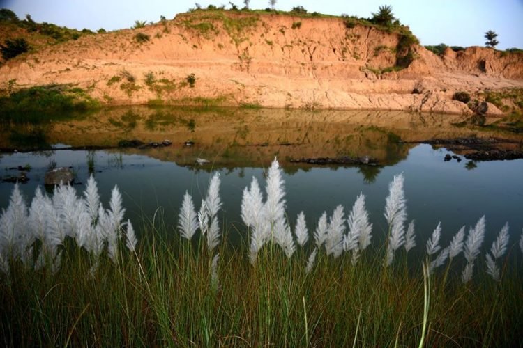 सुनील पारीक