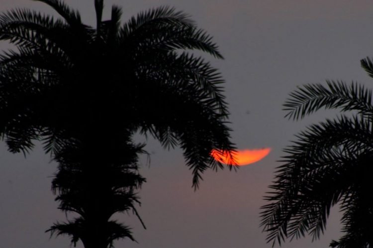 सुनील पारीक