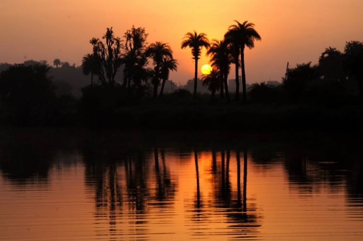 सुनील पारीक