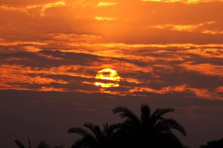 सुनील पारीक