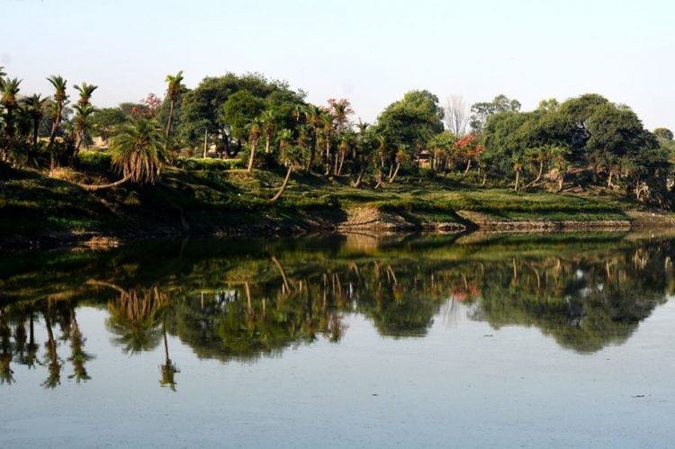 सुनील पारीक