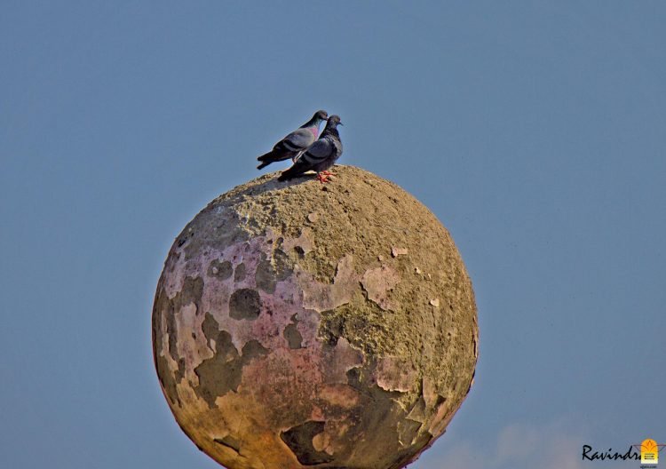 डॉ. रविन्द्र खराडे