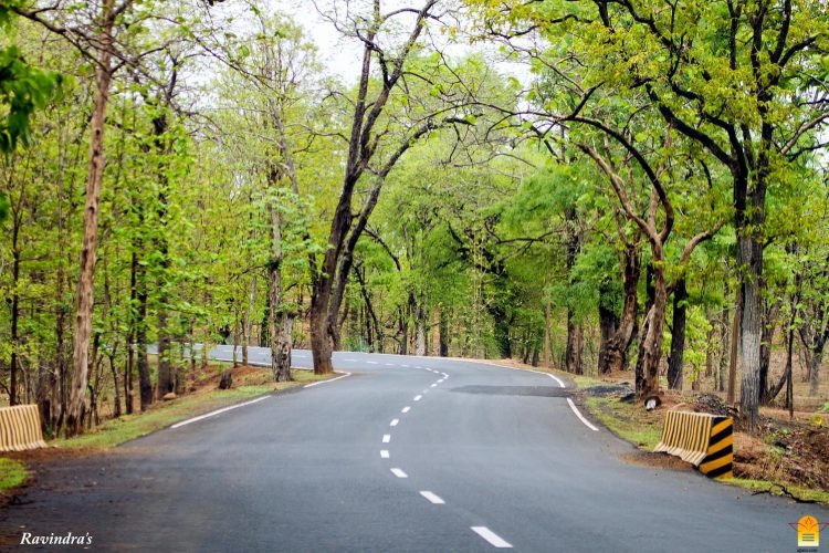 डॉ. रविन्द्र खराडे