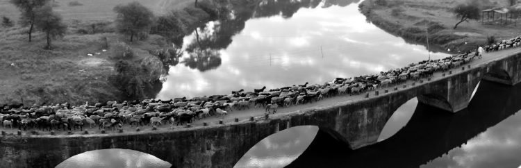 सुनील पारीक