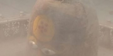 Bhasmarti Darshan | 5 June 2015