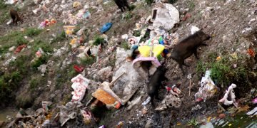 आस्था के अवशेष