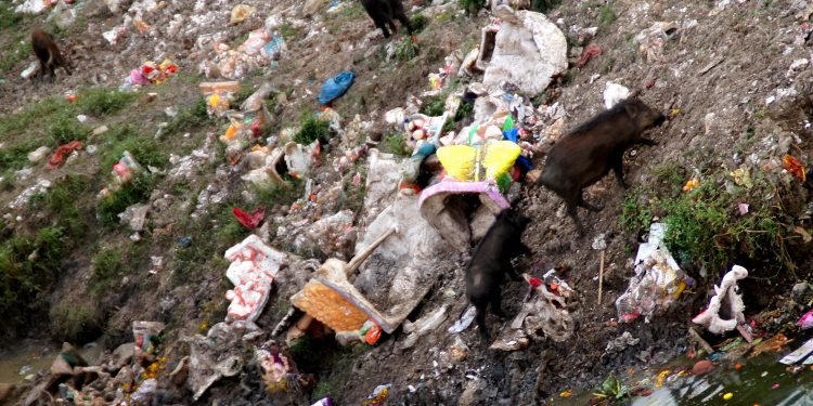 आस्था के अवशेष