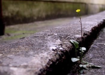 कहीं वो मिल न जाए-