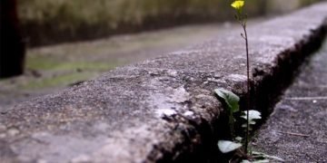 कहीं वो मिल न जाए-